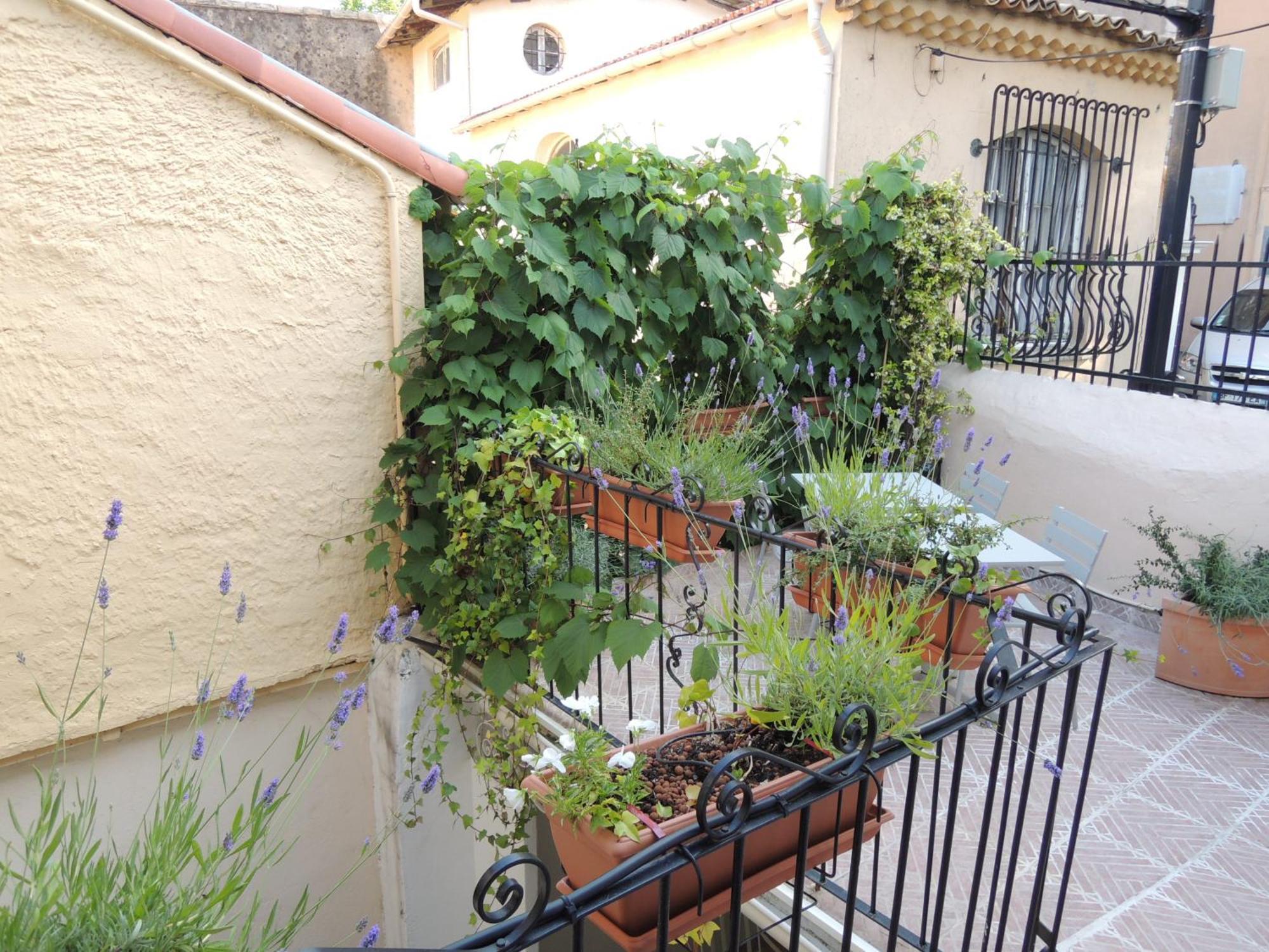 Acci Cannes Old City חדר תמונה